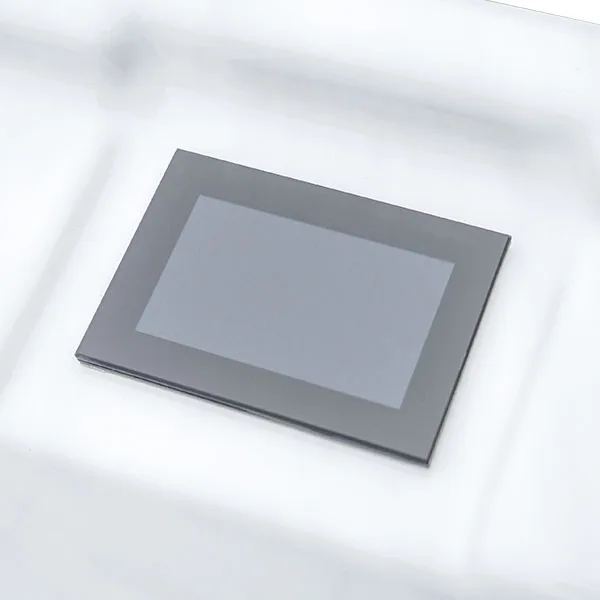 Acrylic Backyard Swim Spa ZR7861